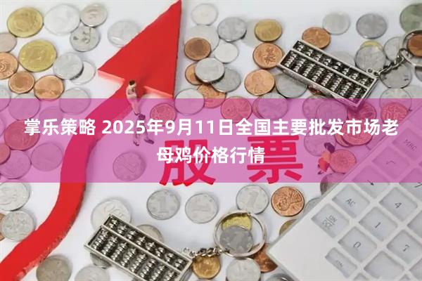 掌乐策略 2025年9月11日全国主要批发市场老母鸡价格行情