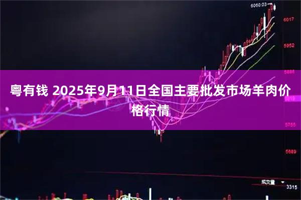 粤有钱 2025年9月11日全国主要批发市场羊肉价格行情